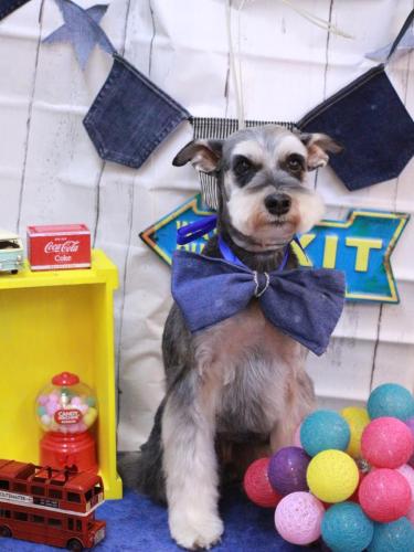 20230408銀次くん